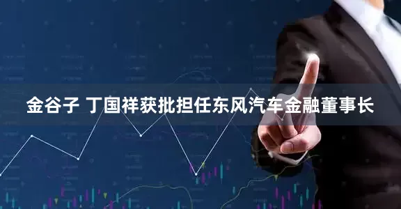 金谷子 丁国祥获批担任东风汽车金融董事长